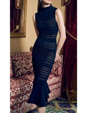 Gorgeous Alexis dress XS